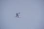 DSC00255.JPG