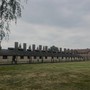 Auschwitz_Krakau_12.jpg