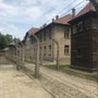 Auschwitz_Krakau_20.jpg