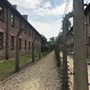 Auschwitz_Krakau_21.jpg