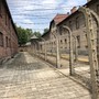 Auschwitz_Krakau_35N.jpg