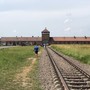 Auschwitz_Krakau_35O.jpg
